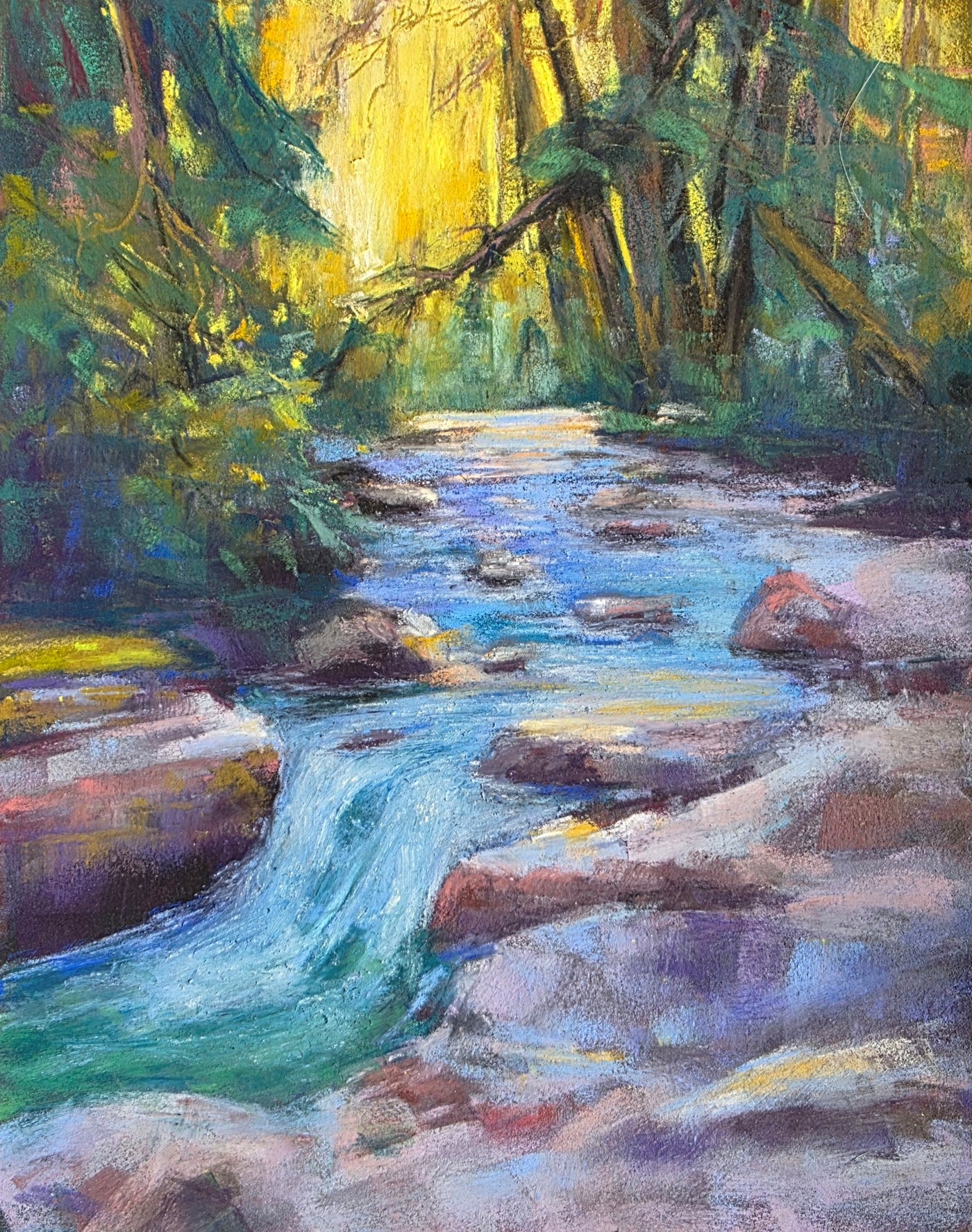 Stream on the Way to Avalanche Lake, Glacier National Park