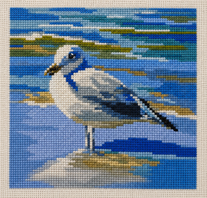Seagull at the National Seashore